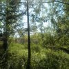 gallery-27
