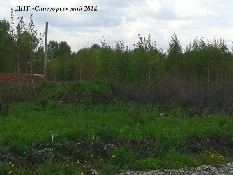 20140530_113118_2
