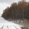 img_6828