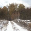 img_6829