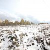 img_6855